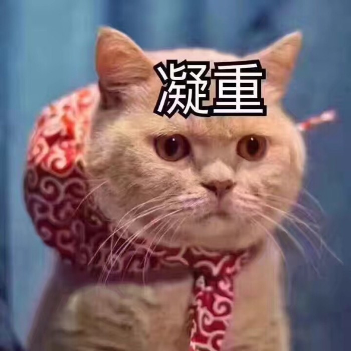 可爱萌宠猫咪搞笑表情包:这让我怎么回答你,我这个人那么含蓄