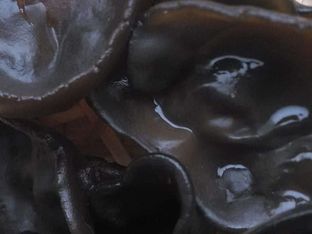 一旦患有子宫肌瘤,6种食物尽量多吃,肌瘤可能会"悄悄消失"!