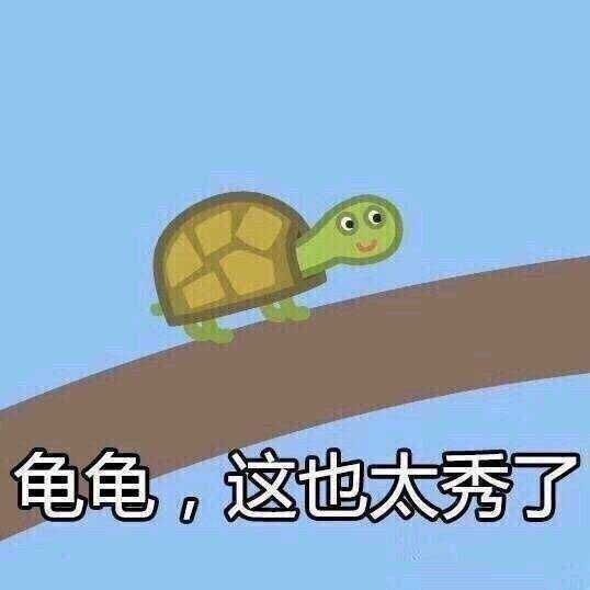 搞笑超逗的表情包,龟龟你也太秀了