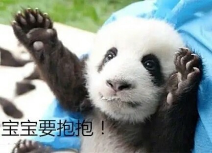 熊猫要抱抱