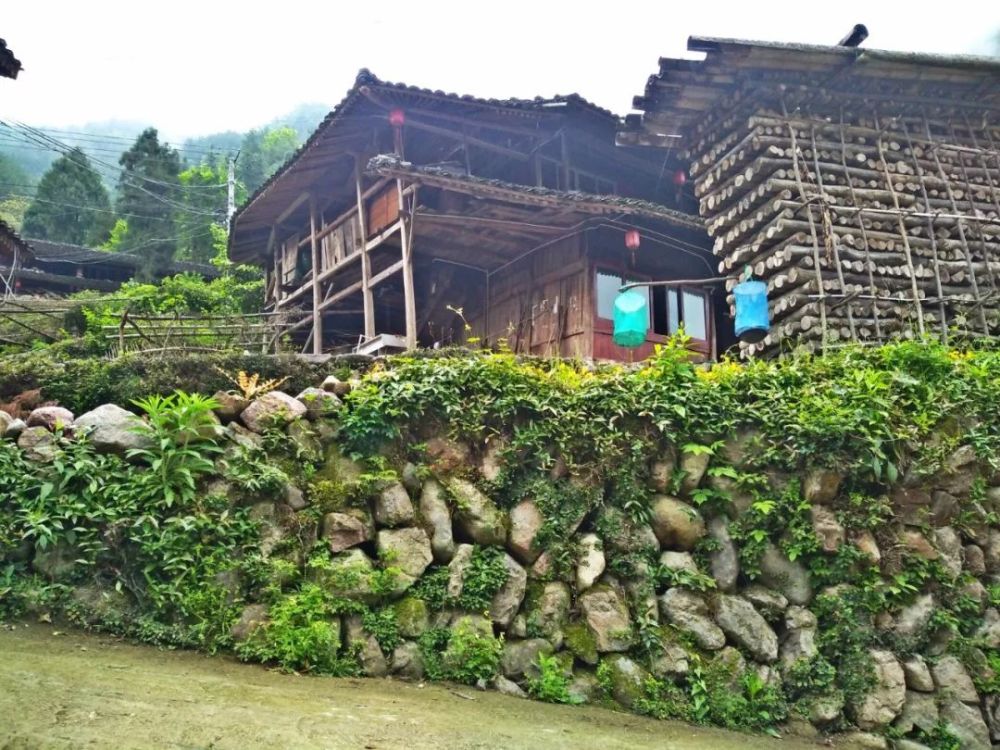 五一,要么您去永嘉的"西藏"——坑口村