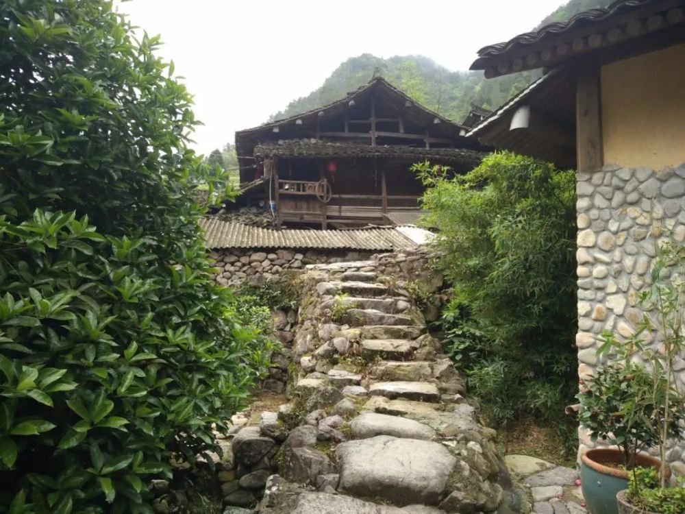 五一,要么您去永嘉的"西藏"——坑口村
