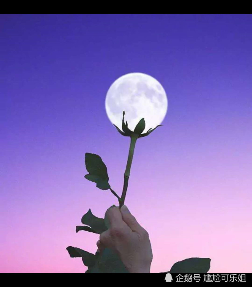 比水还干净·背景图:我一生遇见最美的风景,就是你在的地方