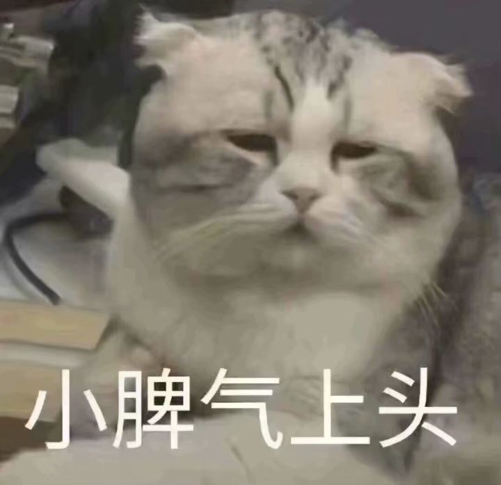 搞笑的表情包:气到炸毛