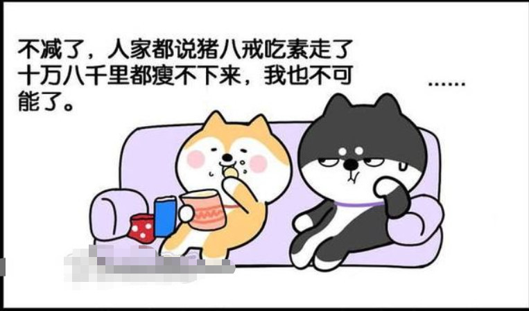 爆笑漫画:猪八戒吃素走了两万八千里都瘦不下来,你觉得减肥有用