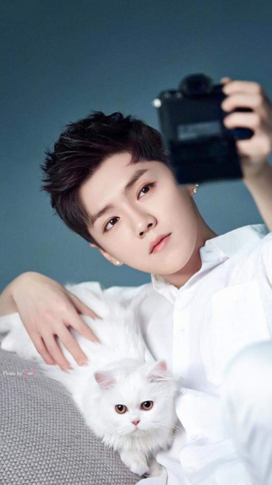 鹿晗高清壁纸:让人扛不住的盛世美颜,帅气十足!