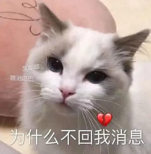 睡前"撩爆"女友的"表情包",太肉麻,太甜了!你敢发给她