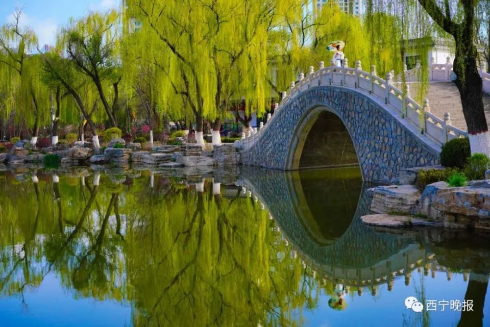 西宁,郁金香,西山,海龙,南山公园,动物园,湟水,黄宁,文化公园