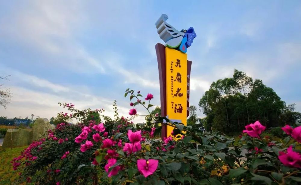 蝶彩花卉·天府花海是仁寿最佳赏花地之一,仅玫瑰花已有1000亩,玫瑰花