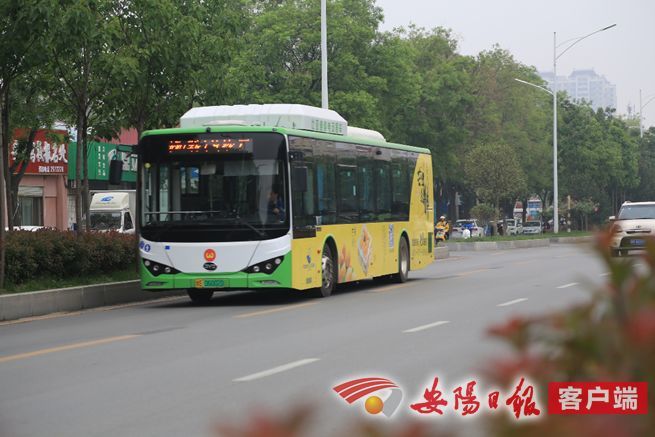 公交车,安阳,公交集团