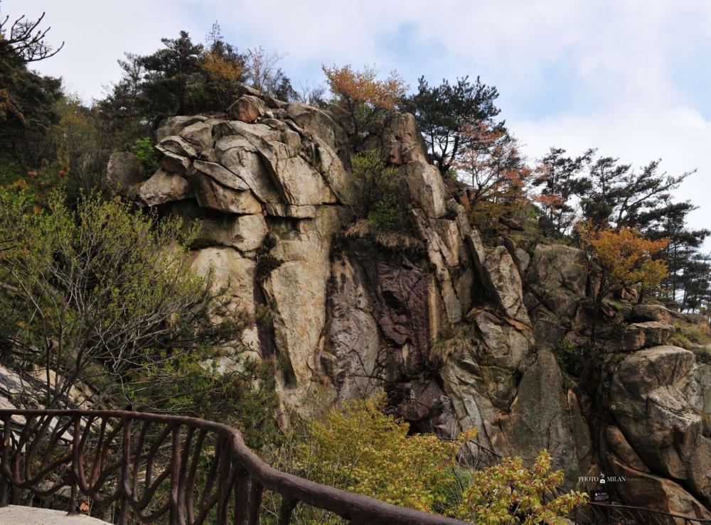 沂蒙山区,蒙山,龟蒙顶,栈道,山东,沂蒙山