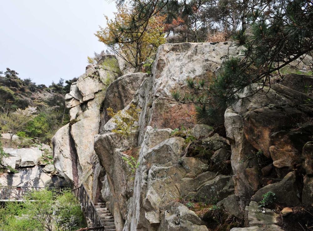 沂蒙山区,蒙山,龟蒙顶,栈道,山东,沂蒙山