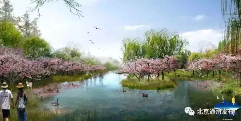 图片 13