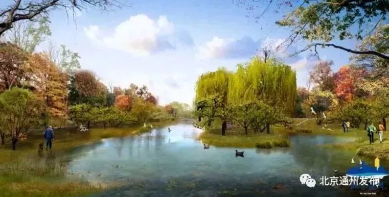 图片 19