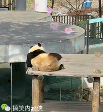 搞笑gif图 从救生员不断回避的眼神中,看出了这份工作