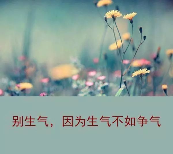 别生气,因为生气不如争气 别忧伤,因为没人喜欢苦脸