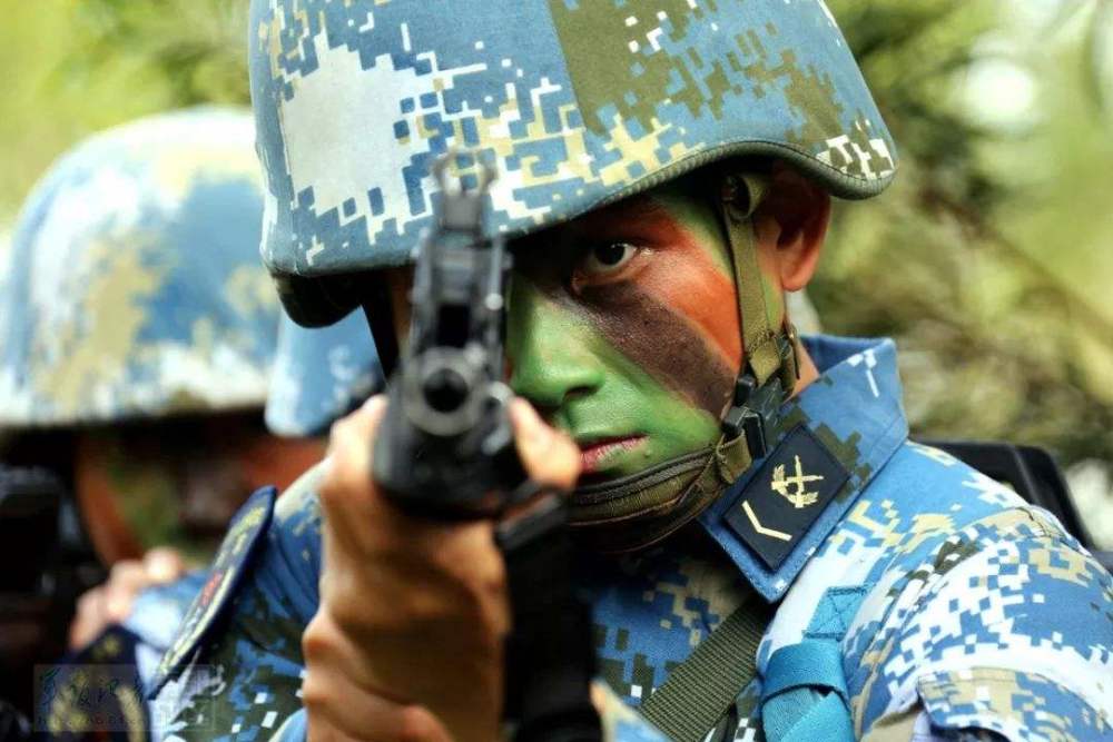 各国海军陆战队皮肤鉴赏,usmc的最帅,我们的蓝精灵最可爱
