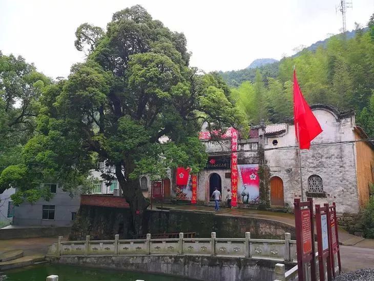 缙云县,旅游景区,仙都,黄龙景区,河阳古民居,仙都景区