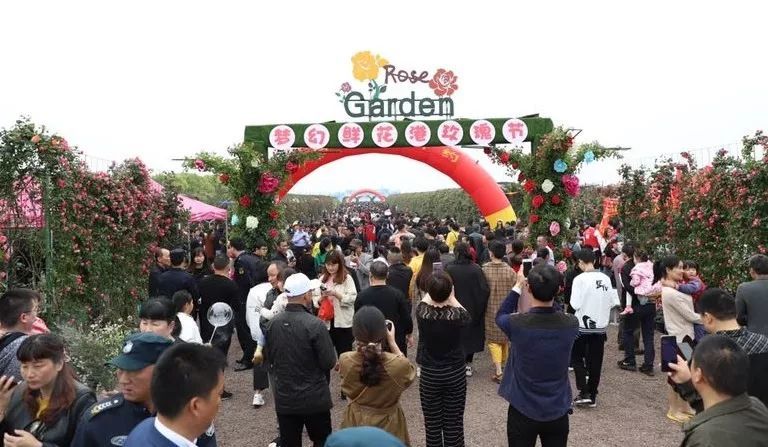 2019台州湾"梦幻鲜花港"玫瑰节 在下陈街道台州湾生态农业园 开幕现场