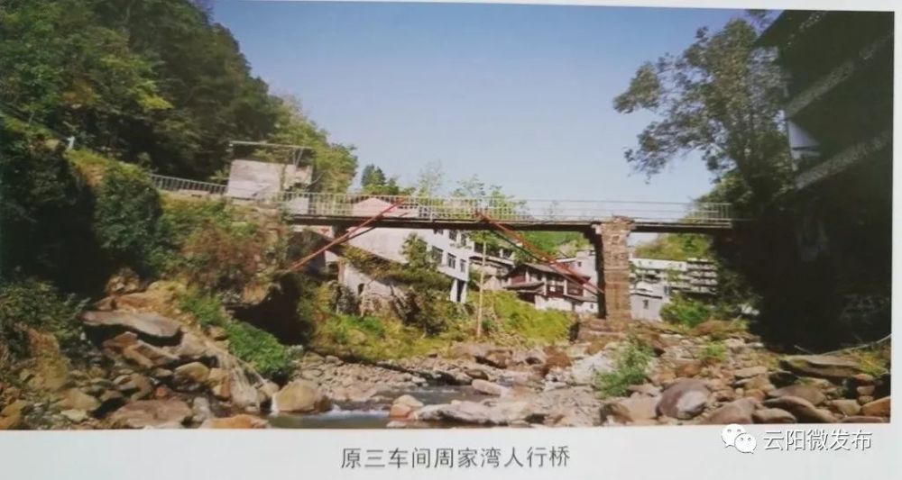 我的家在鱼泉