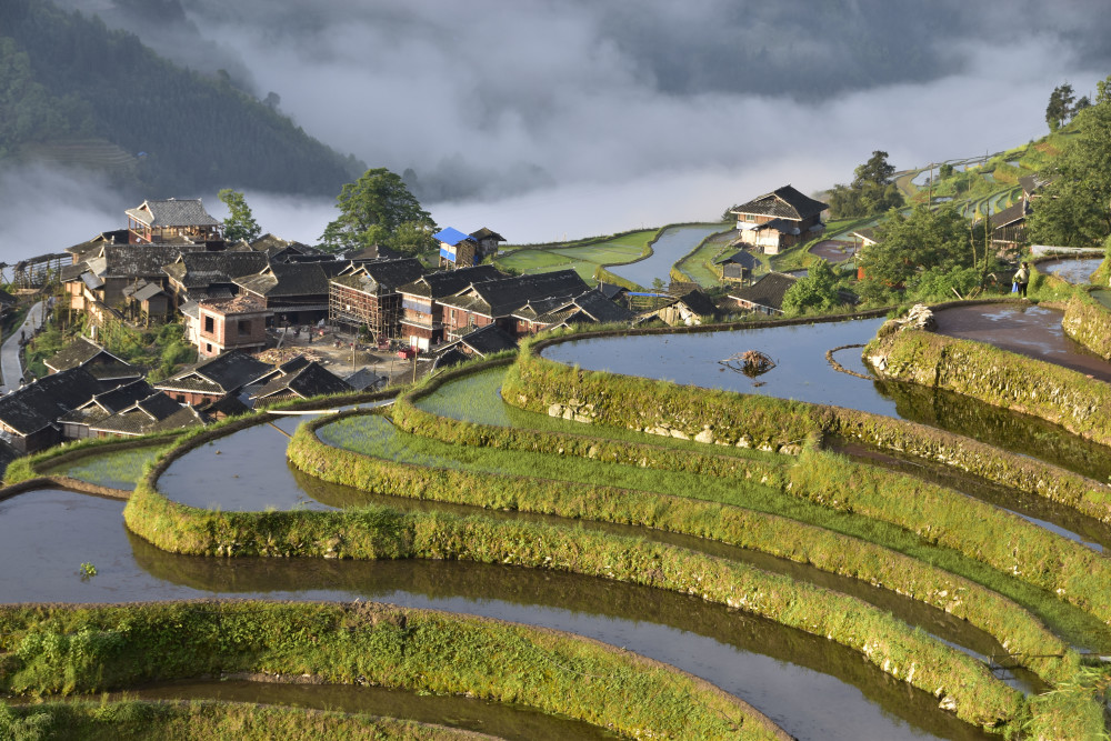 贵州从江:加榜梯田美景如画