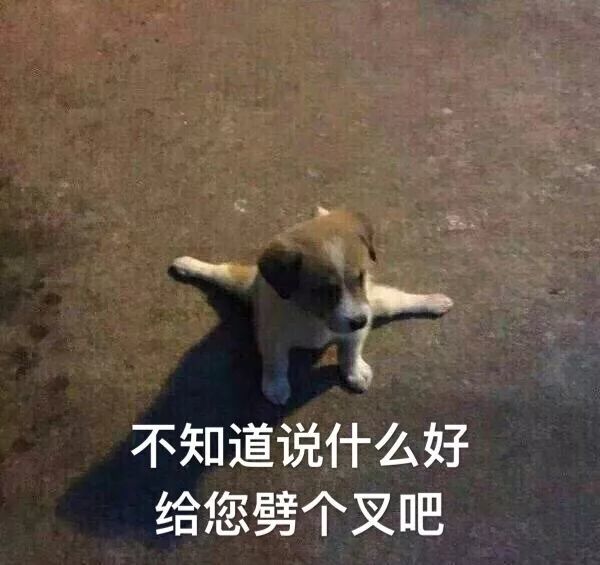 不知道说什么好给您劈个叉吧(狗子劈叉)