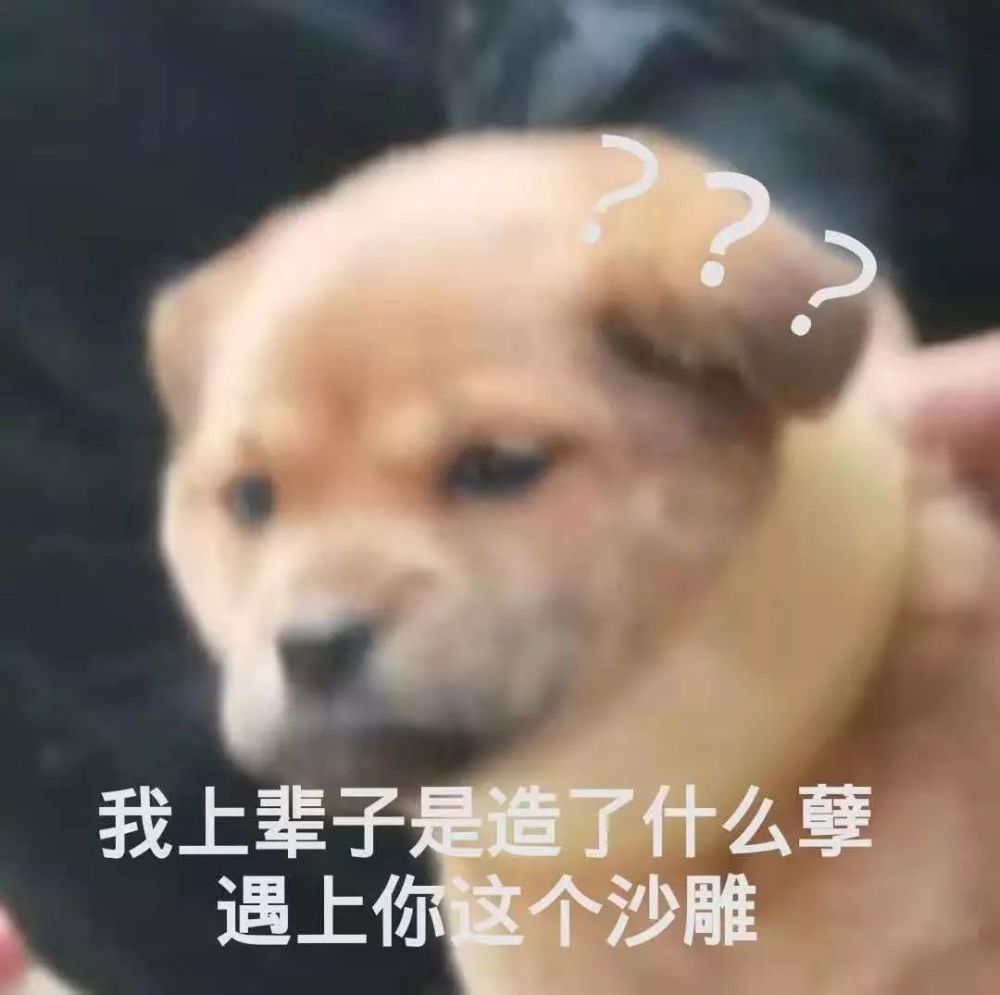 我上辈子是造了什么孽遇上你这个沙雕(狗子问号)