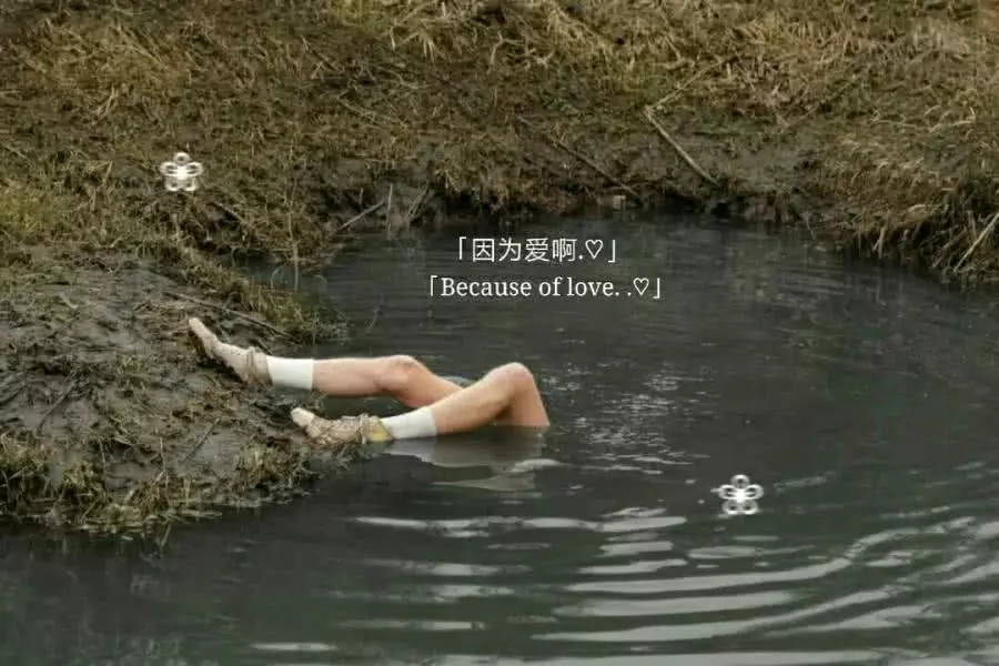 超火"厌世"背景图:世事本就恶俗不堪,能慷慨几分能原谅几人