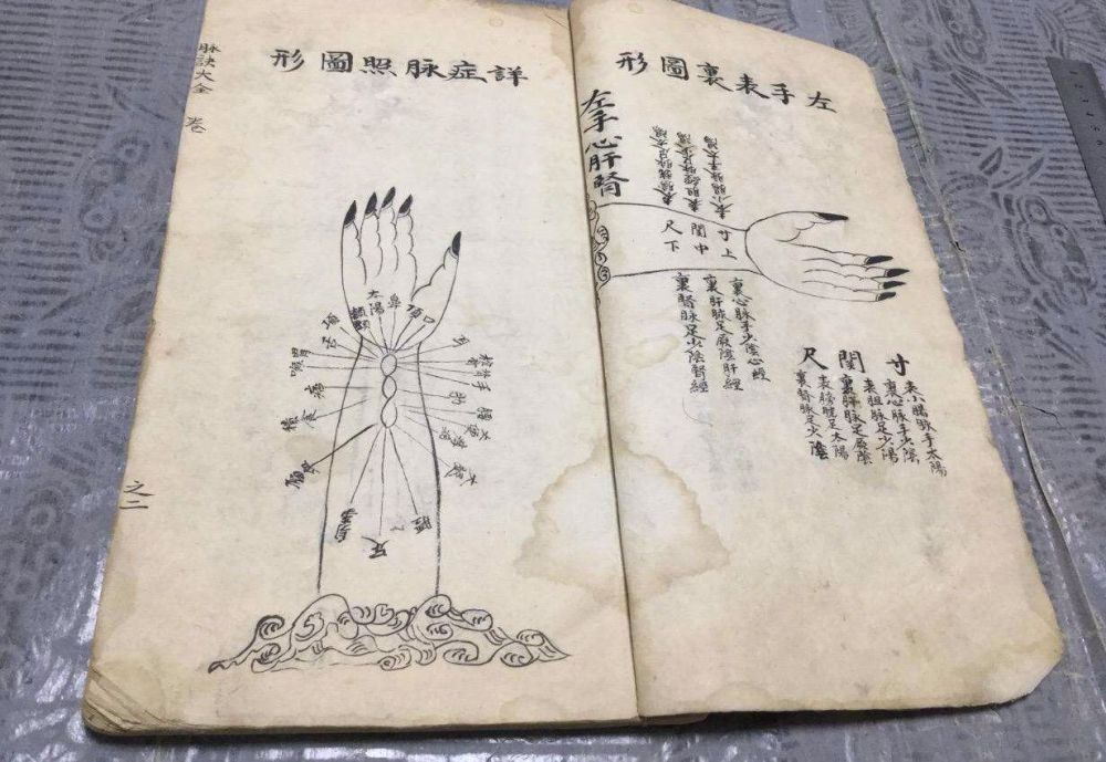 洪脉指下是什么感受?一般体现哪些临床症状?快来一起看看吧