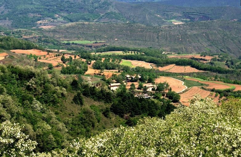 陕西,爷台山,淳化县,海洋