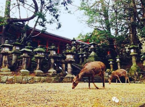 最适合情侣旅行的9个地方 你要牵谁的手去