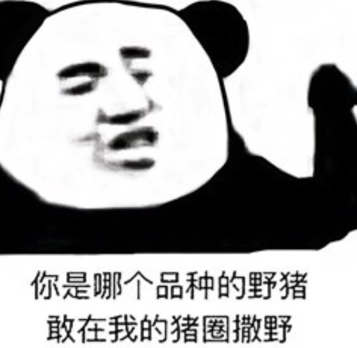 这最后一张照片里的熊猫头也是非常的直接了,一脸非常认真的表情,尤其