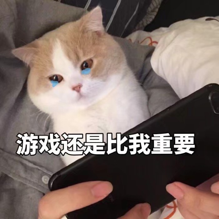表情包,拽萌,奶凶,可爱,怼男友