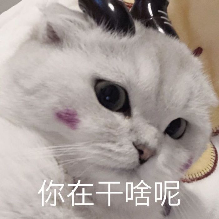 用"拽萌"表情包怼他:游戏还是比我重要