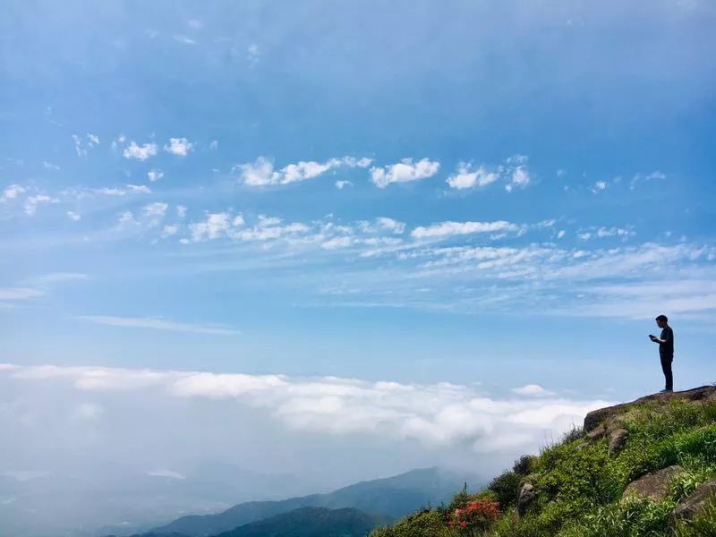 山顶,姑婆山,云海,贺州