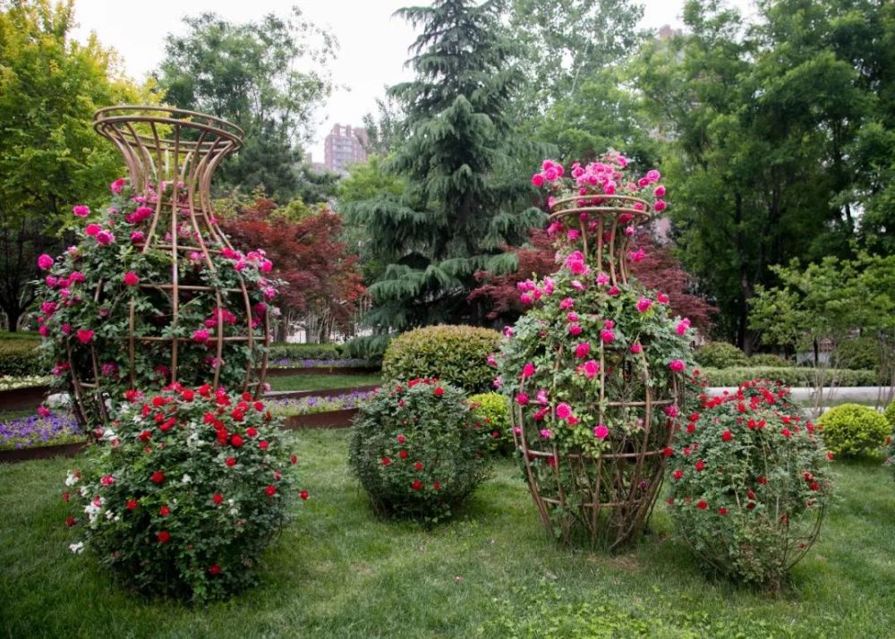 道路节点等区域 进行立体花坛,立体花墙,立体花箱 景观小品,花境,花田