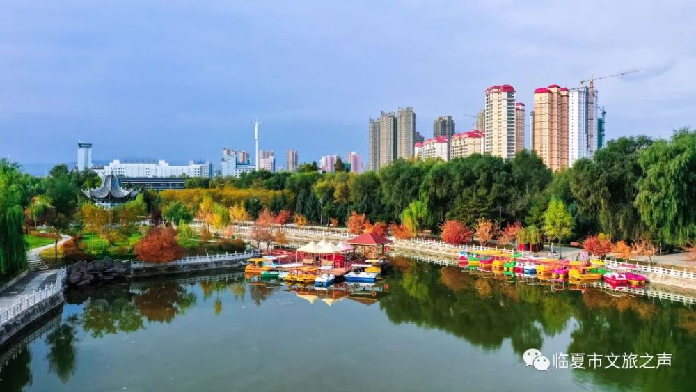 牡丹,临夏市,东郊公园,十三巷,河州