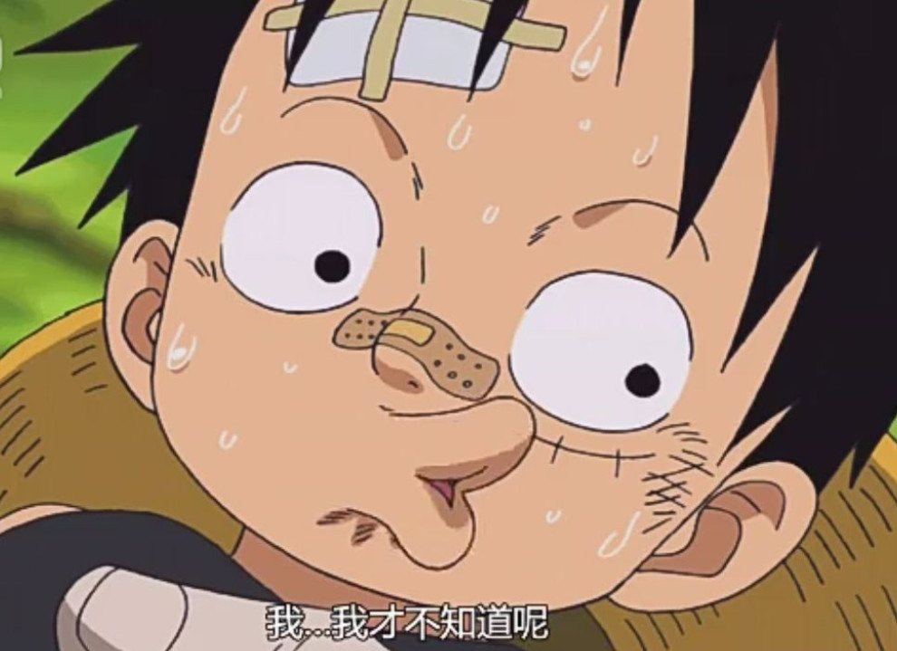 海贼王:路飞祖传撒谎的表情,一眼就能看出来是撒谎的样子!