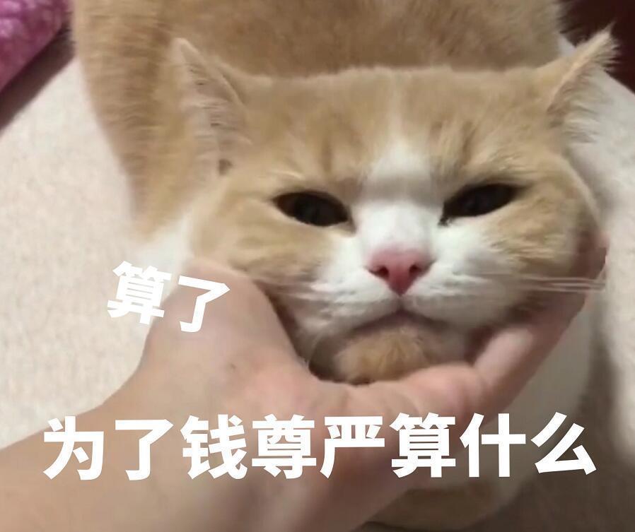 (猫咪铲屎官:酒心蜜桃酥)