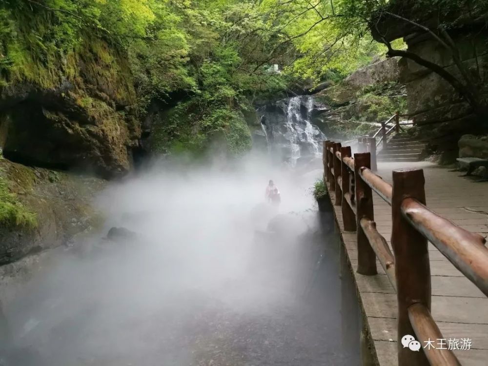 木王国家森林公园,王山,中国银行,镇安县,美景