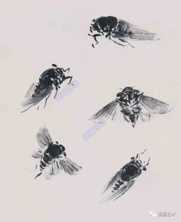 图文教程:草虫写意画法及步骤