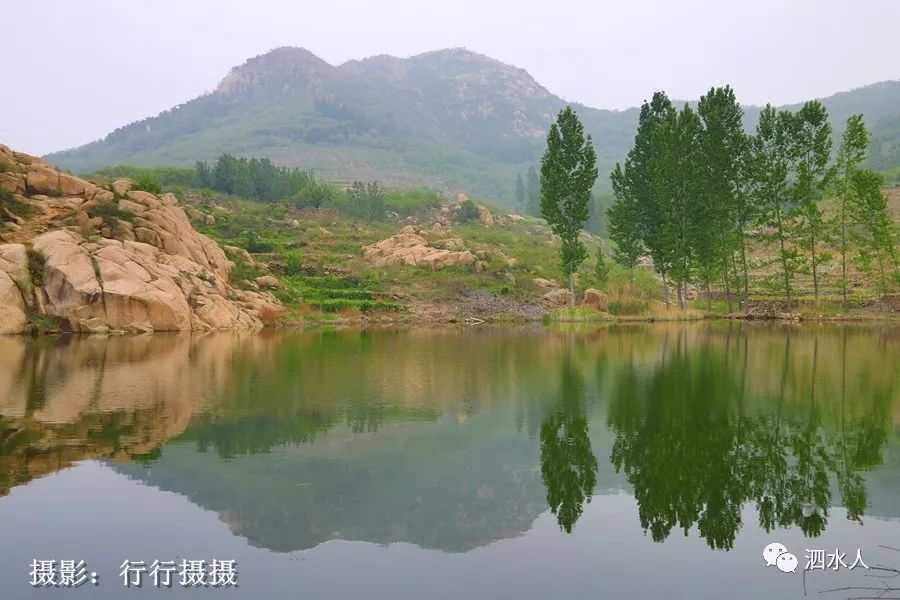 泗水.柘沟.鲁柘砚