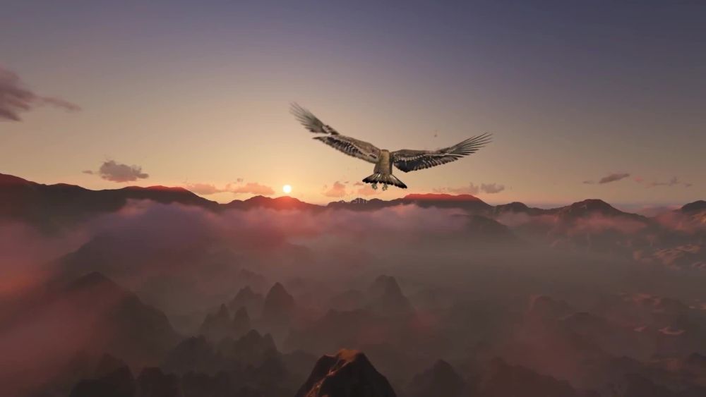 青春是只鹰 凌空翱翔的鹰 霸气的掠过群山 只为那征服的张扬