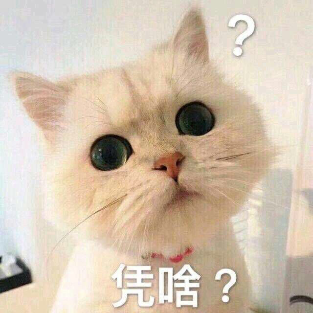 搞笑超逗的表情包,你清醒一点