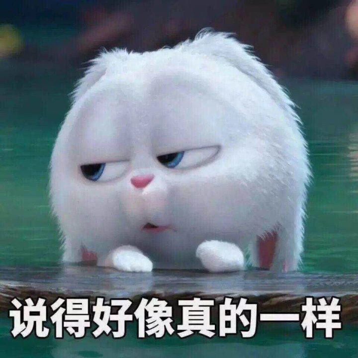 搞笑超逗的表情包,你认真的吗