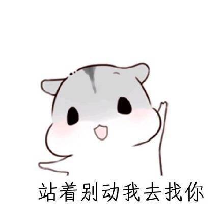 仓鼠表情包:终于要和老婆见面啦