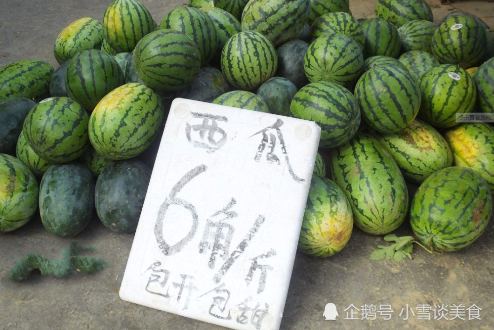 夏天,日本,印度,水果,西瓜