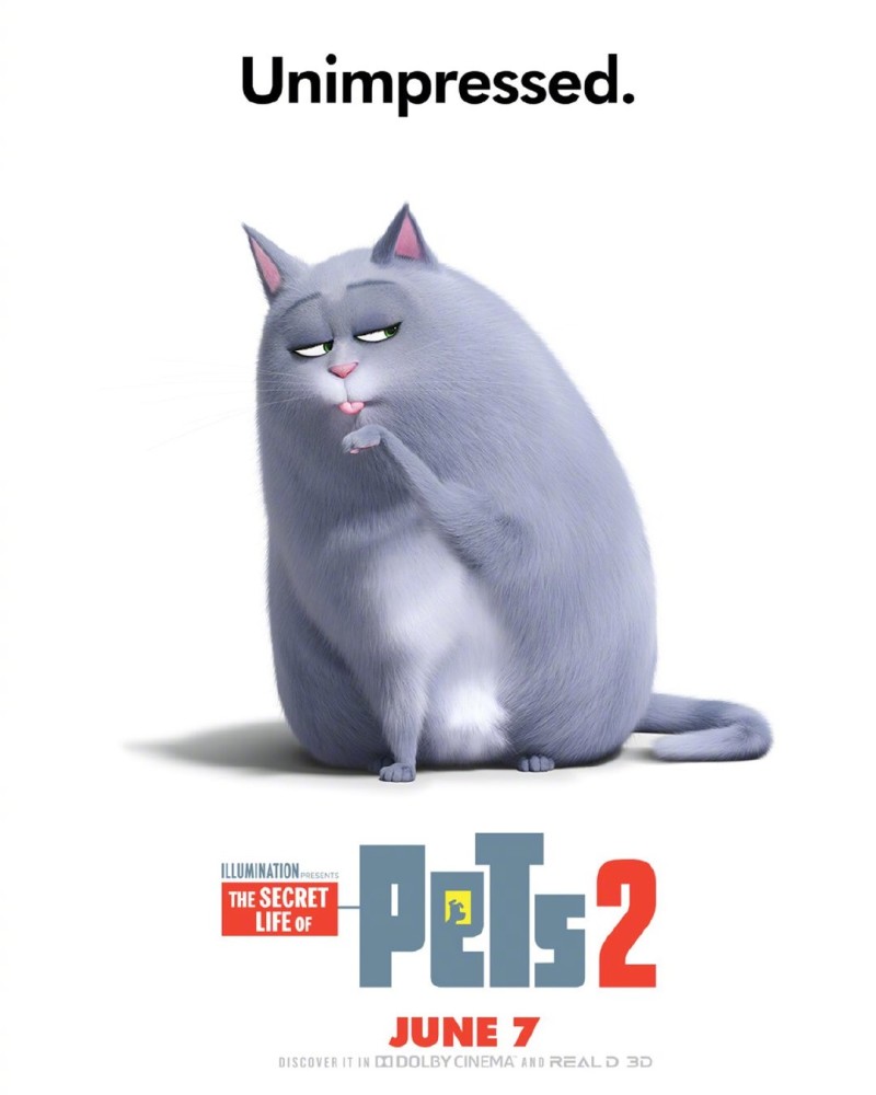 《爱宠大机密2》释出全新角色海报 电视预告,俏皮萌宠