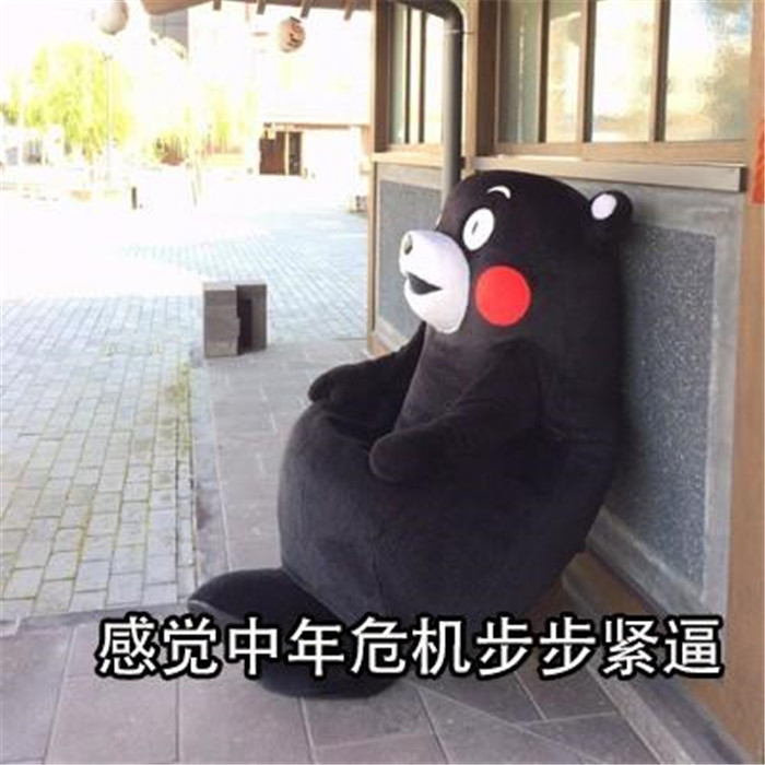 熊本熊斗图表情包:感觉中年危机步步紧逼