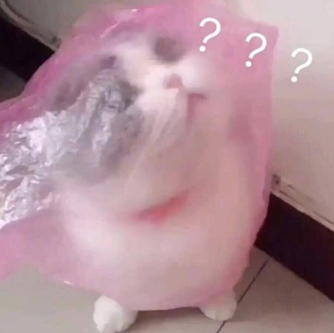 搞笑超逗的表情包,我申请加入你的被窝